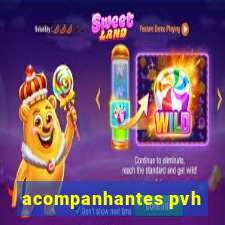 acompanhantes pvh